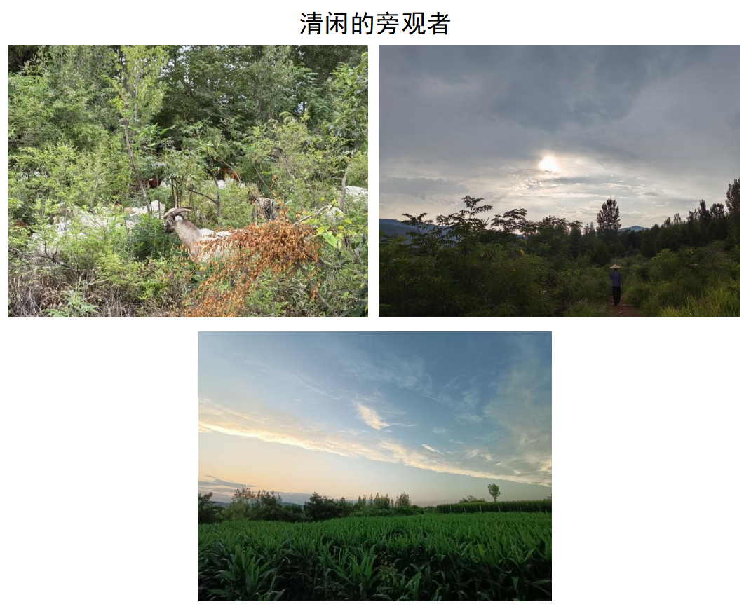 星际娱乐城